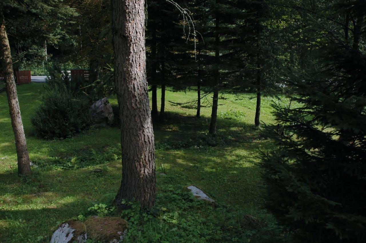 Vila Orlí Hnízdo Černý Důl Exteriér fotografie