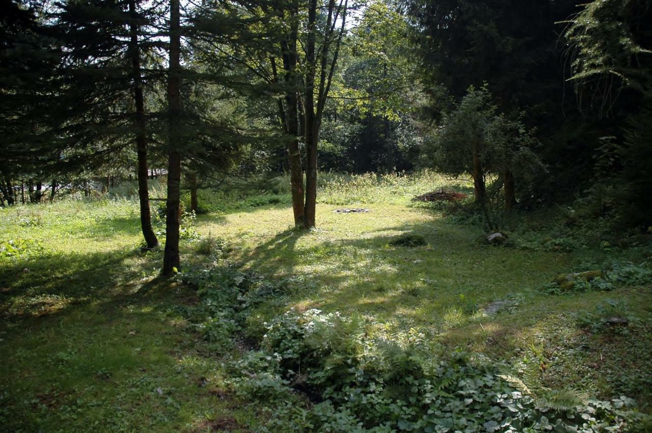 Vila Orlí Hnízdo Černý Důl Exteriér fotografie