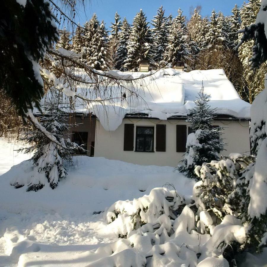 Vila Orlí Hnízdo Černý Důl Exteriér fotografie